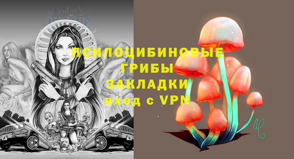 МДПВ Бронницы