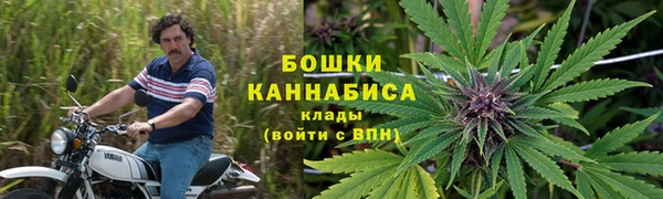 МДПВ Бронницы