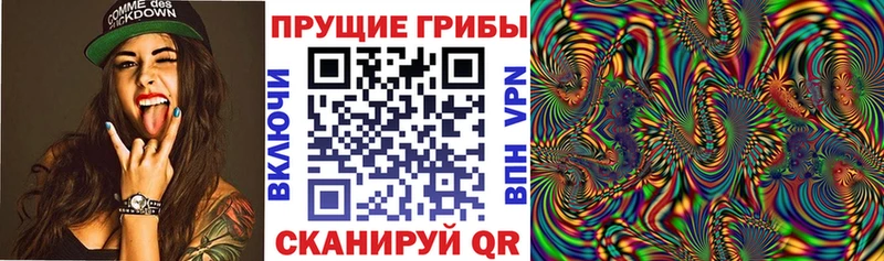 Галлюциногенные грибы прущие грибы Катав-Ивановск